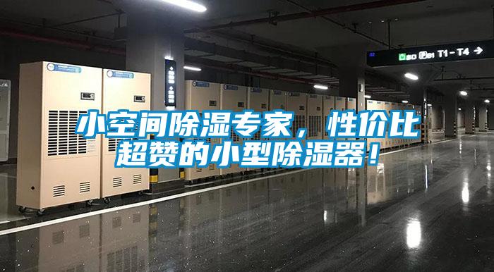 小空間除濕專家，性價比超讚的小型除濕器！