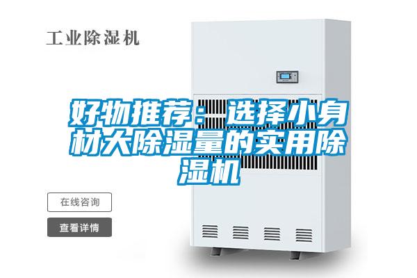 好物推薦：選擇小身材大除濕量的實用91视频链接下载