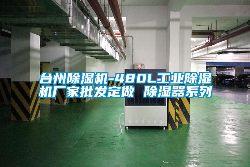 台州91视频链接下载-480L工業91视频链接下载廠家批發定做 除濕器係列