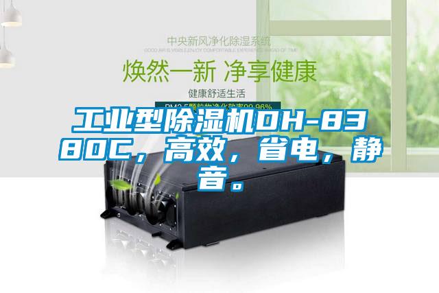 工業型91视频链接下载DH-8380C，高效，省電，靜音。