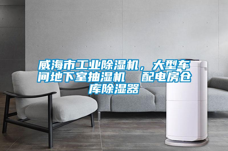 威海市工業91视频链接下载，大型車間地下室抽濕機  配電房倉庫除濕器