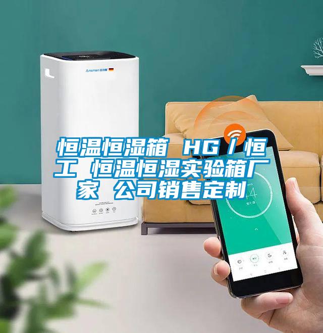 恒溫恒濕箱 HG／恒工 恒溫恒濕實驗箱廠家 公司銷售定製