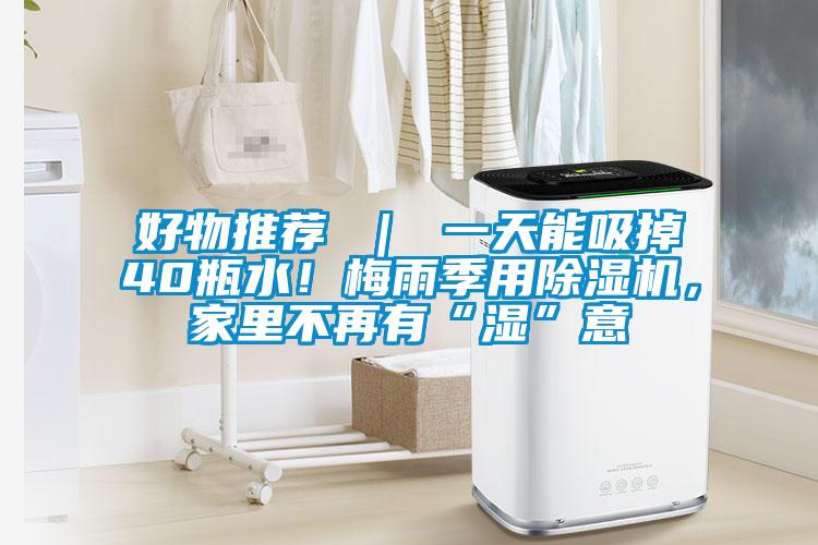 好物推薦 ｜ 一天能吸掉40瓶水！梅雨季用91视频链接下载，家裏不再有“濕”意