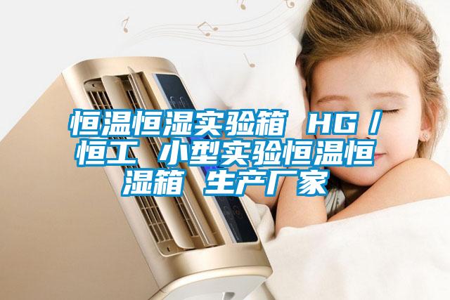 恒溫恒濕實驗箱 HG/恒工 小型實驗恒溫恒濕箱 生產廠家