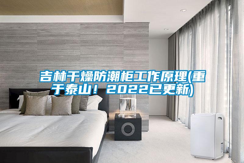 吉林幹燥防潮櫃工作原理(重於泰山！2022已更新)