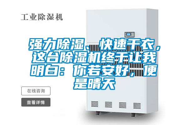 強力除濕、快速幹衣，這台91视频链接下载終於讓我明白：你若安好，便是晴天