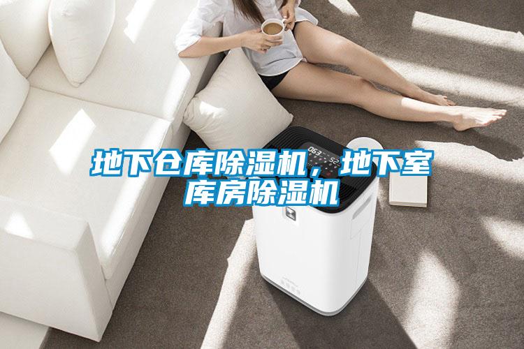 地下倉庫91视频链接下载，地下室庫房91视频链接下载