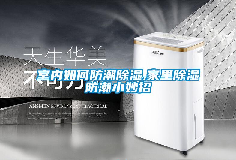 室內如何防潮除濕,家裏除濕防潮小妙招
