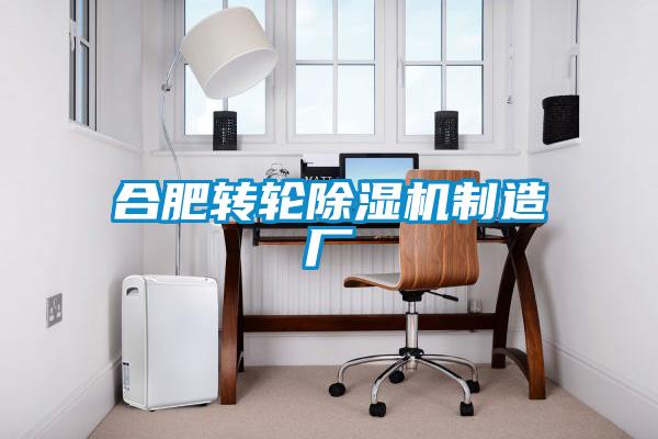 合肥轉輪91视频链接下载製造廠