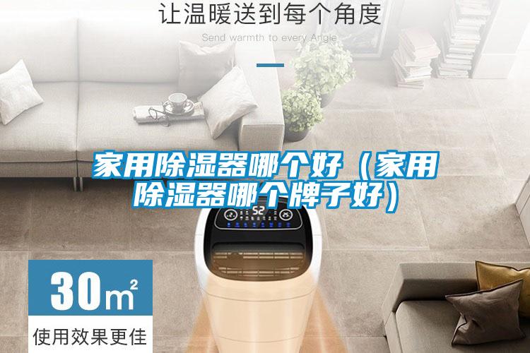 家用除濕器哪個好(家用除濕器哪個牌子好)