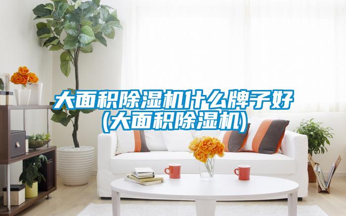 大麵積91视频链接下载什麽牌子好(大麵積91视频链接下载)