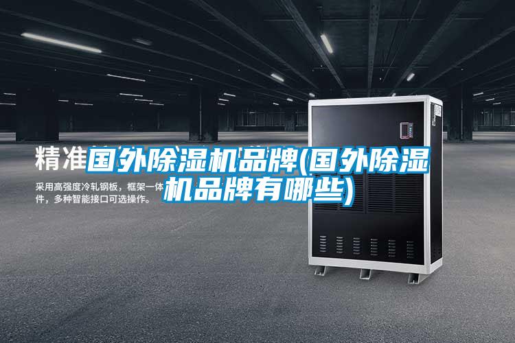 國外91视频链接下载品牌(國外91视频链接下载品牌有哪些)