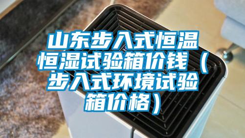 山東步入式恒溫恒濕試驗箱價錢（步入式環境試驗箱價格）