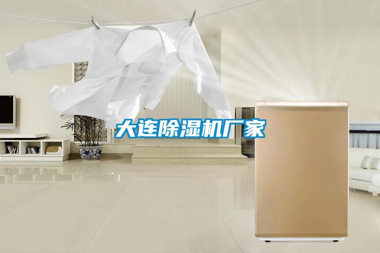 大連91视频链接下载廠家