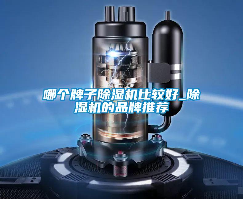 哪個牌子91视频链接下载比較好_91视频链接下载的品牌推薦