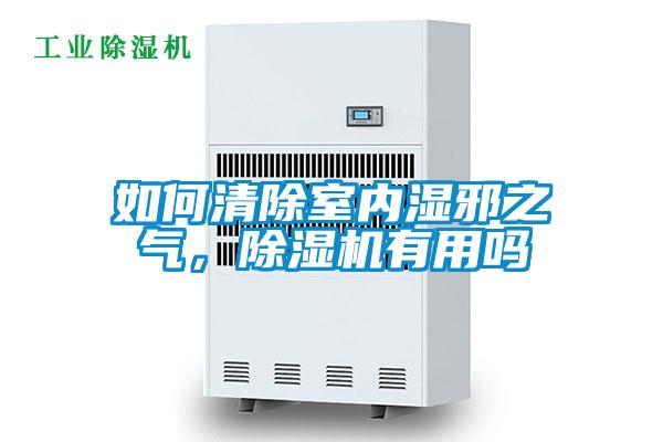 如何清除室內濕邪之氣，91视频链接下载有用嗎