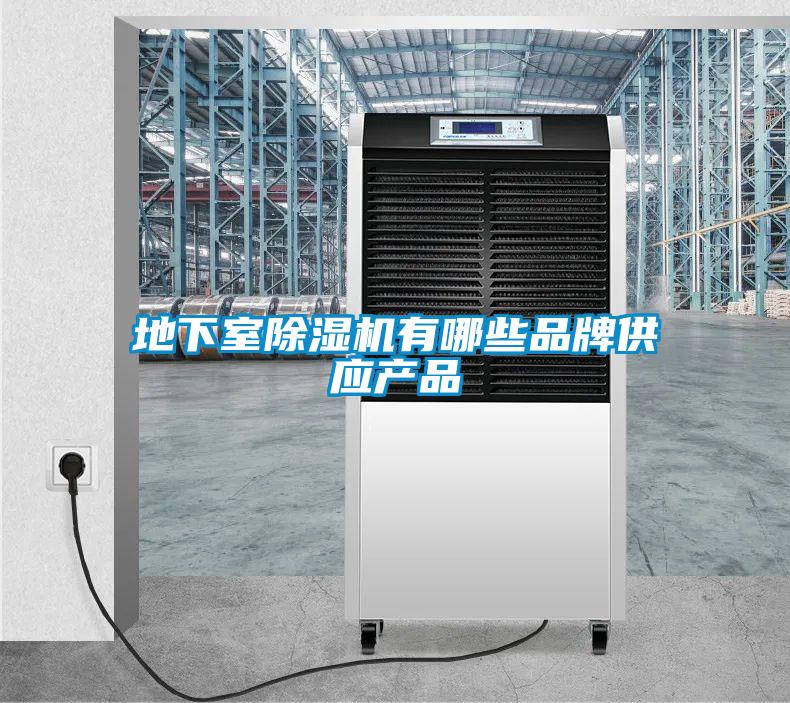 地下室91视频链接下载有哪些品牌供應產品