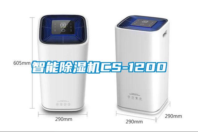 智能91视频链接下载CS-1200