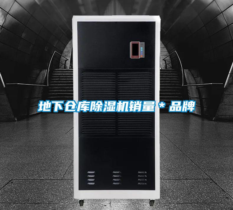 地下倉庫91视频链接下载銷量＊品牌