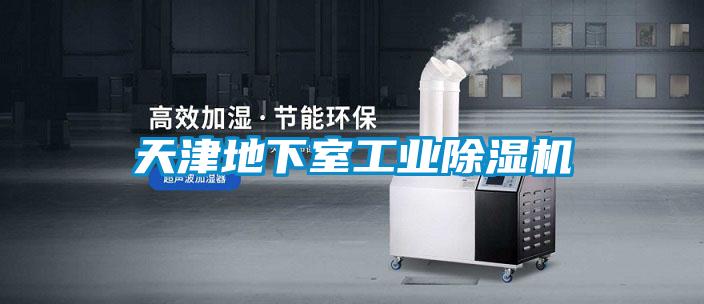 天津地下室工業91视频链接下载