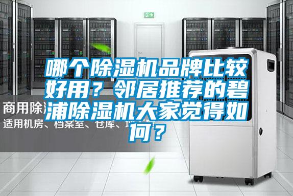 哪個91视频链接下载品牌比較好用？鄰居推薦的碧浦91视频链接下载大家覺得如何？