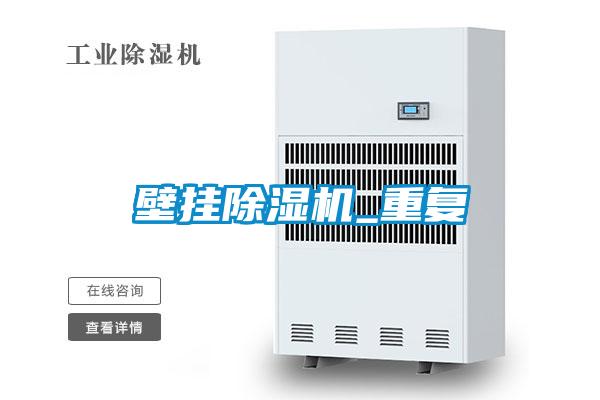 壁掛91视频链接下载_重複