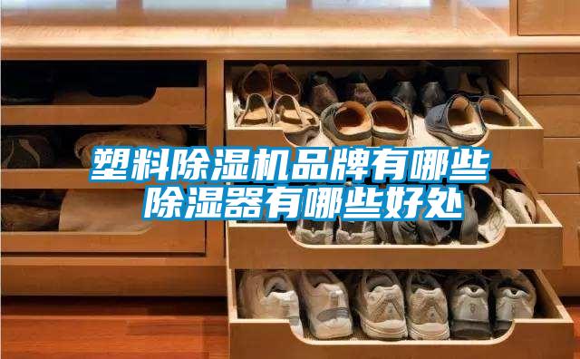 塑料91视频链接下载品牌有哪些 除濕器有哪些好處