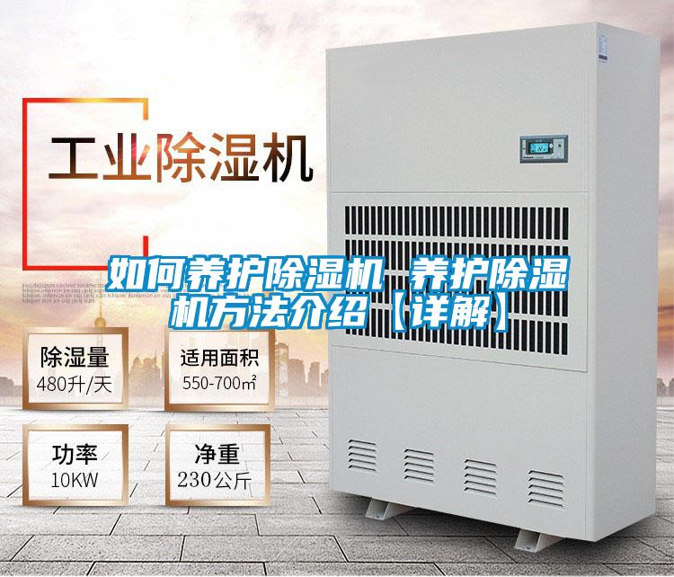 如何養護91视频链接下载 養護91视频链接下载方法介紹【詳解】