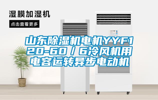 山東91视频链接下载電機YYF120-60／6冷風機用電容運轉異步電動機