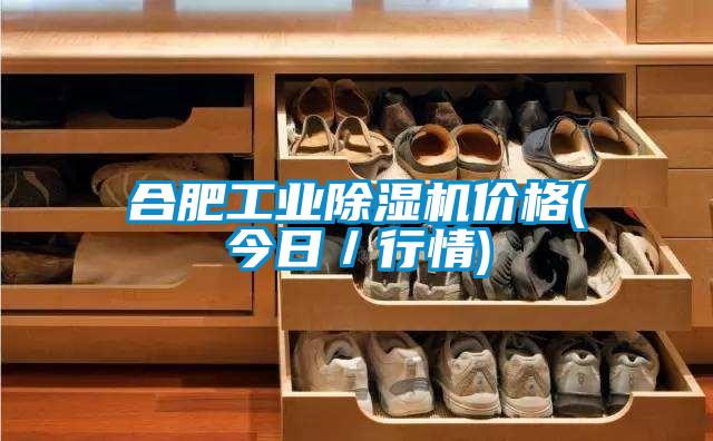 合肥工業91视频链接下载價格(今日／行情)