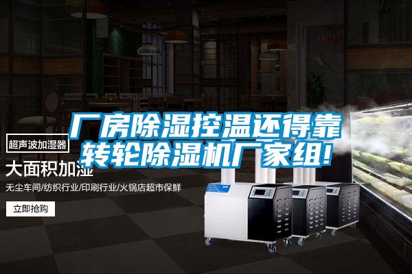 廠房除濕控溫還得靠轉輪91视频链接下载廠家組!