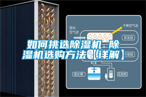 如何挑選91视频链接下载 91视频链接下载選購方法【詳解】