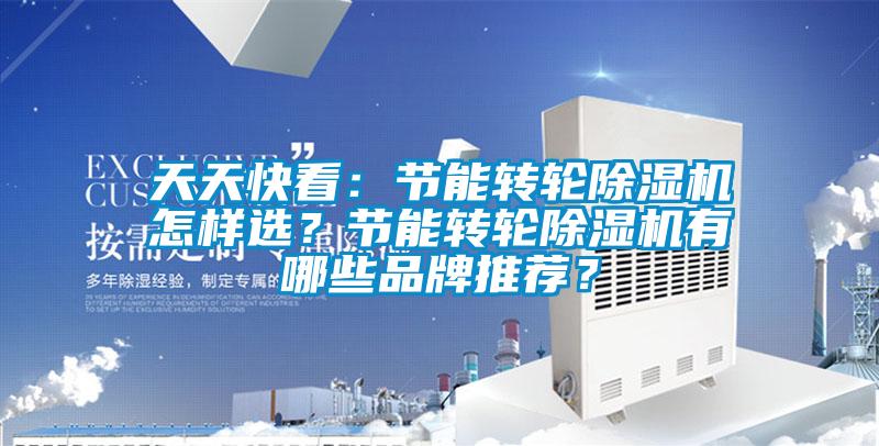 天天快看：節能轉輪91视频链接下载怎樣選？節能轉輪91视频链接下载有哪些品牌推薦？