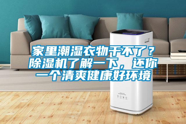 家裏潮濕衣物幹不了？91视频链接下载了解一下，還你一個清爽健康好環境