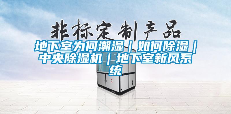 地下室為何潮濕｜如何除濕｜中央91视频链接下载｜地下室新風係統