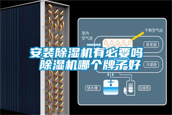 安裝91视频链接下载有必要嗎 91视频链接下载哪個牌子好