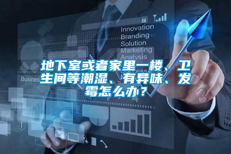 地下室或者家裏一樓、衛生間等潮濕、有異味、發黴怎麽辦？