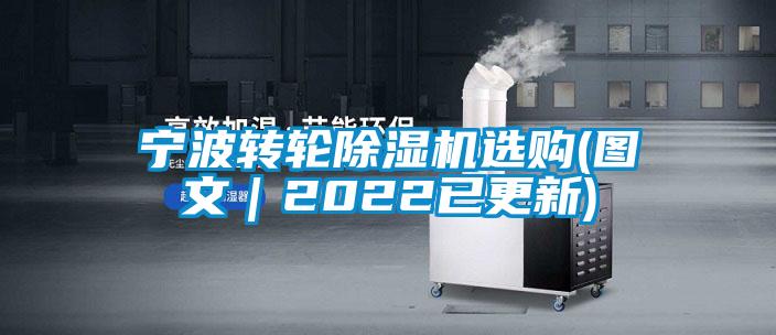 寧波轉輪91视频链接下载選購(圖文｜2022已更新)