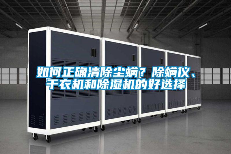 如何正確清除塵蟎？除蟎儀、幹衣機和91视频链接下载的好選擇