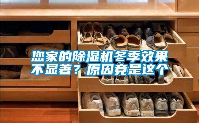 您家的91视频链接下载冬季效果不顯著？原因竟是這個