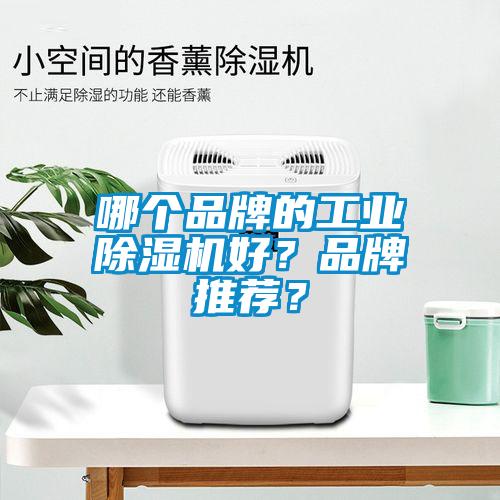 哪個品牌的工業91视频链接下载好？品牌推薦？