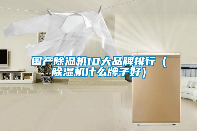 國產91视频链接下载10大品牌排行（91视频链接下载什麽牌子好）