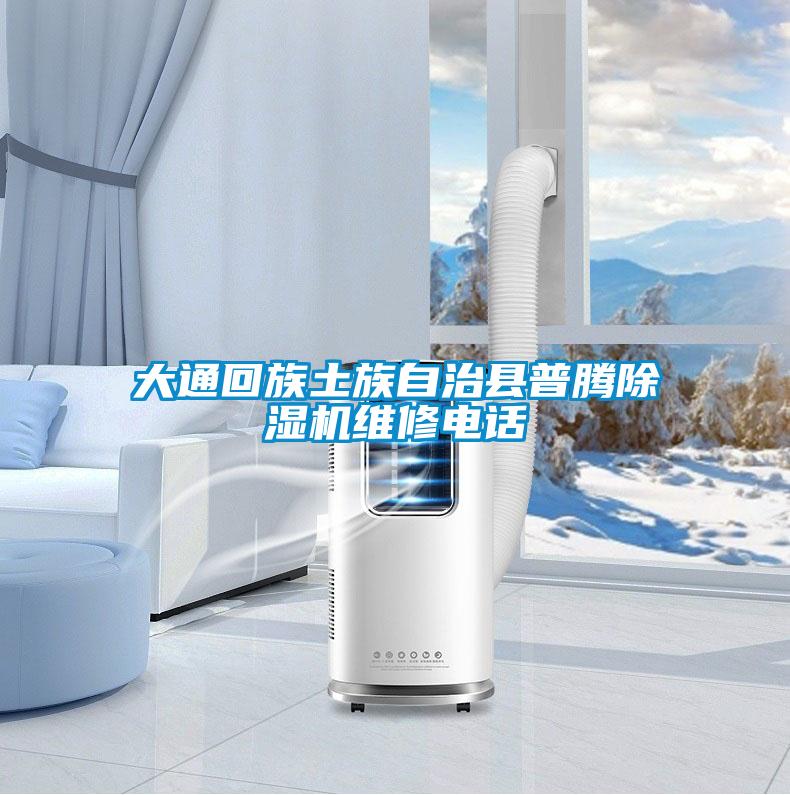 大通回族土族自治縣普騰91视频链接下载維修電話