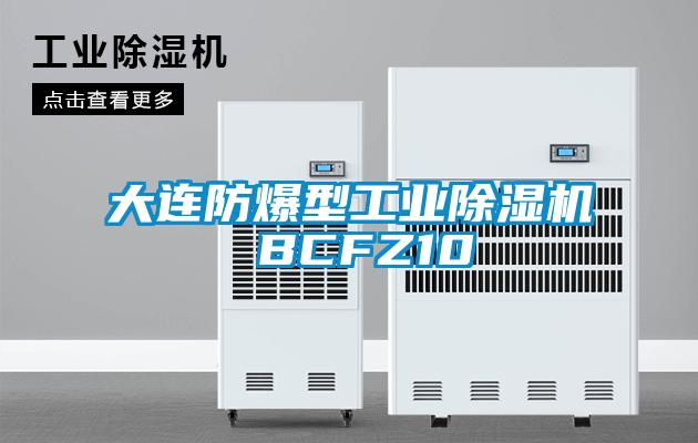 大連防爆型工業91视频链接下载 BCFZ10