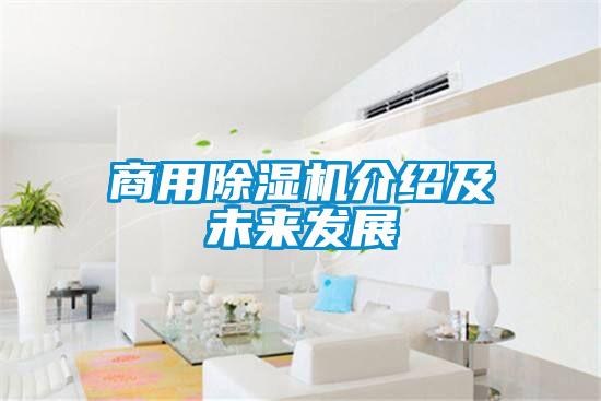 商用91视频链接下载介紹及未來發展