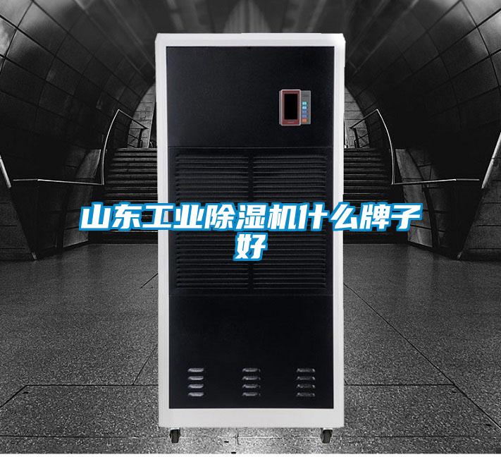 山東工業91视频链接下载什麽牌子好