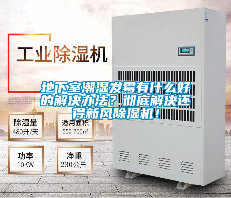 地下室潮濕發黴有什麽好的解決辦法？徹底解決還得新風91视频链接下载！