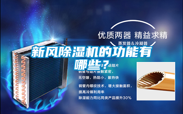 新風91视频链接下载的功能有哪些？