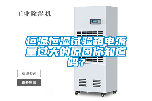 恒溫恒濕試驗箱電流量過大的原因你知道嗎？