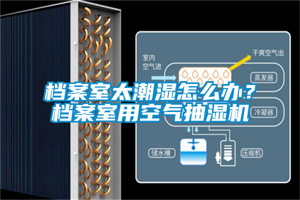 檔案室太潮濕怎麽辦？檔案室用空氣抽濕機